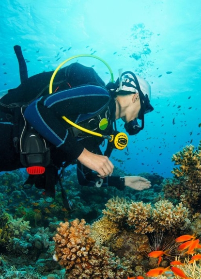 Scuba Diving
